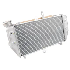 RADIADOR COMPLETO MT03  B04E24610000